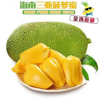 BBC地平线：我们该关了动物园吗？ 推荐视频