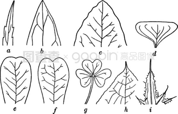 于她撑控 推荐视频