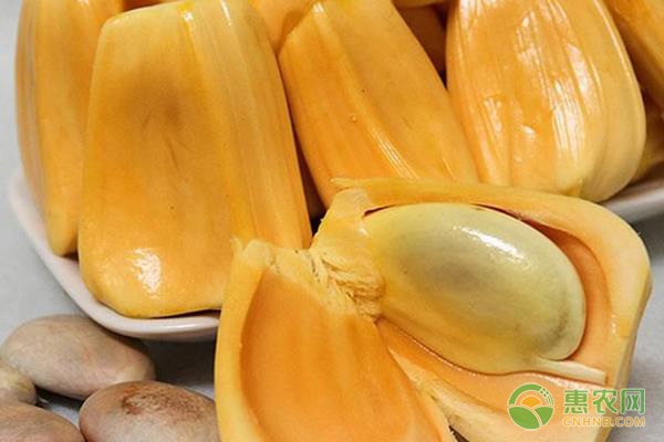 仇杀病房 推荐视频