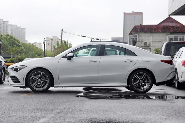 一棵树 推荐视频