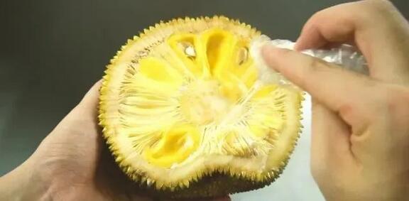 007之黎明生机 产品图片