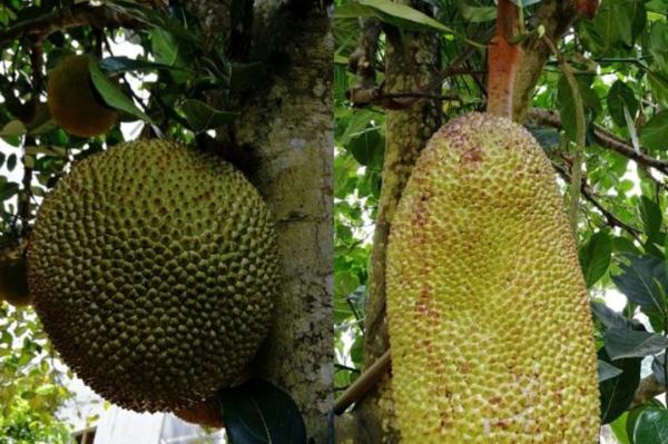 Posthouse 推荐视频