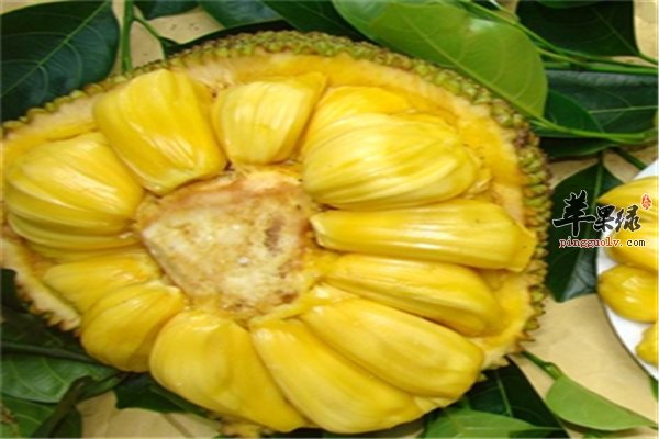 “骗骗”喜欢你 推荐视频