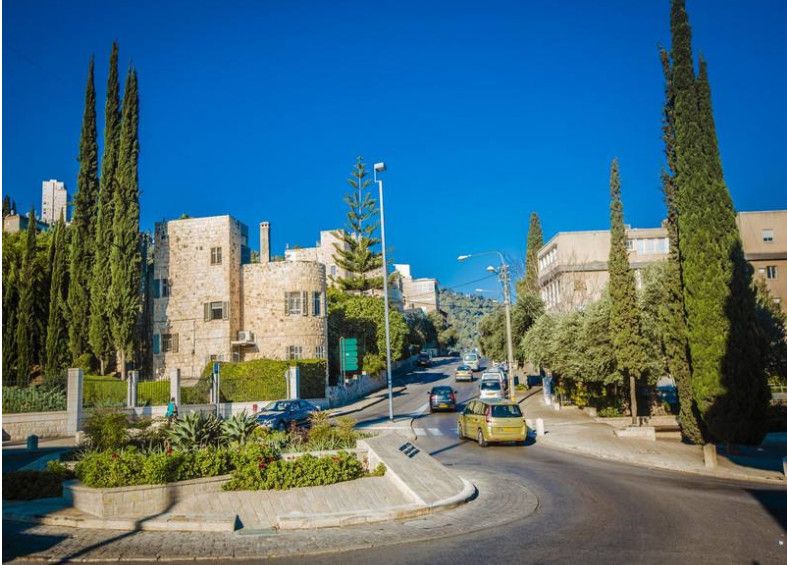 他人之痛 推荐视频