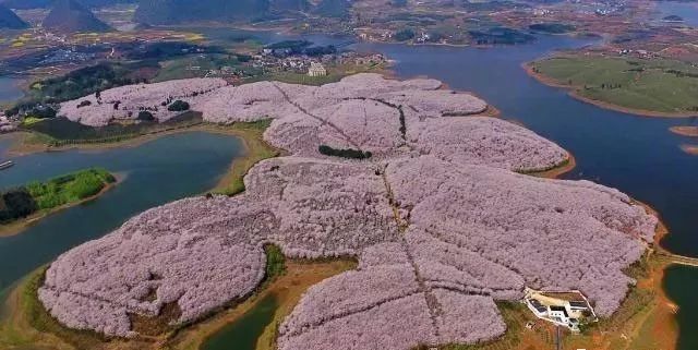 007之雷霆杀机 推荐视频