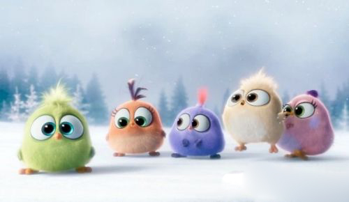 一栋公寓 推荐视频