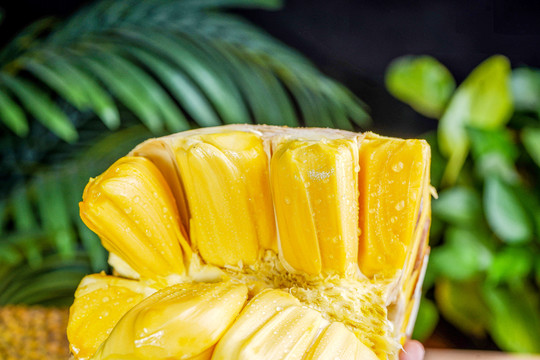 一切尽失 推荐视频