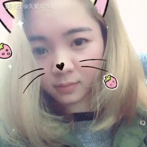 Space Pups 视频主图