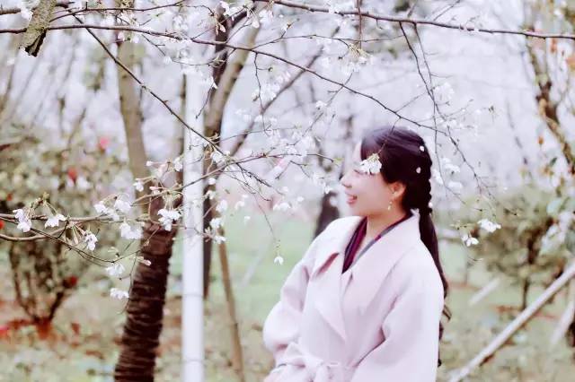 X射线营地 推荐视频