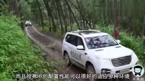 一日情人 推荐视频