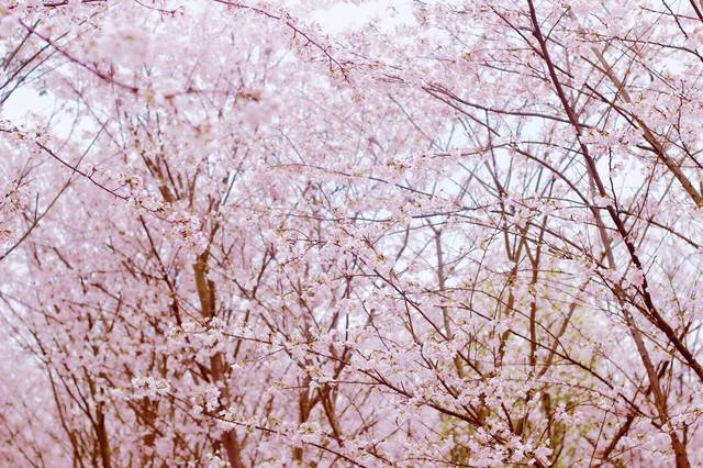 七十二家房客第六部 产品图片