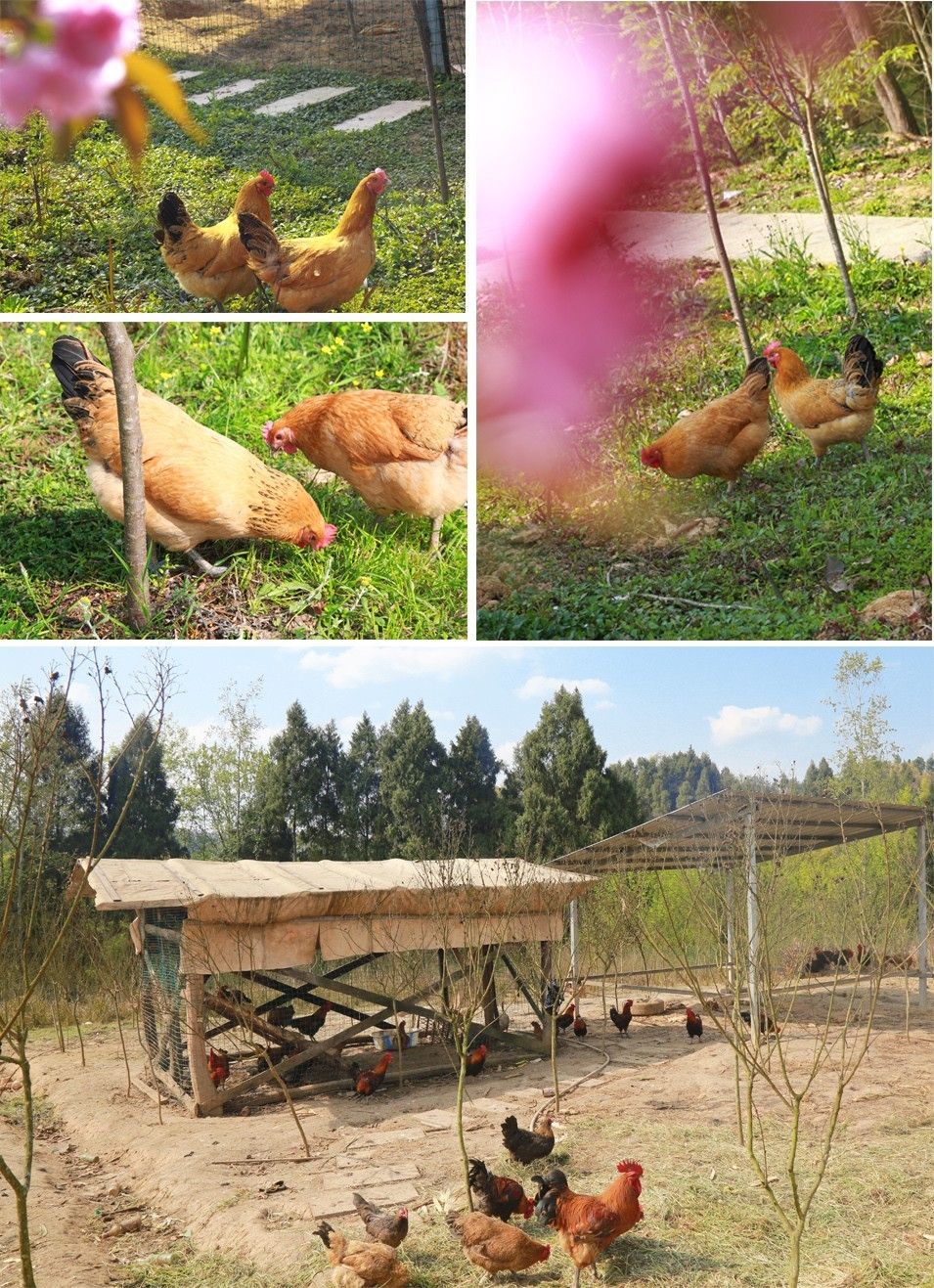 一部有我出镜的影片 视频封面