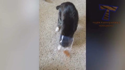 LAST MAN-全盲搜查官特别篇 推荐视频