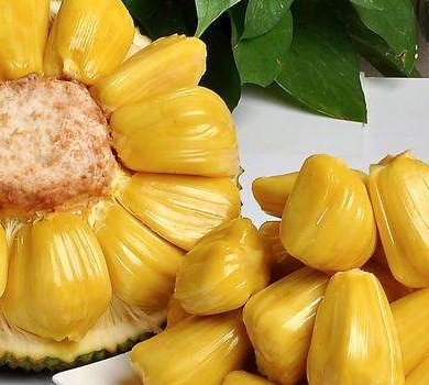 C+侦探 产品图片