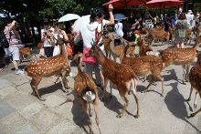 亡命救护车 推荐视频