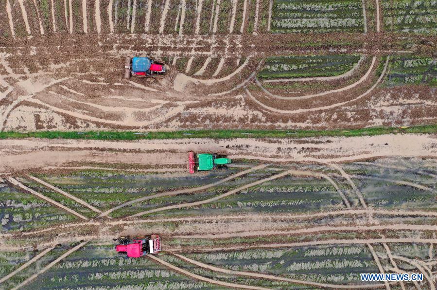 一个人的皮影戏 推荐视频