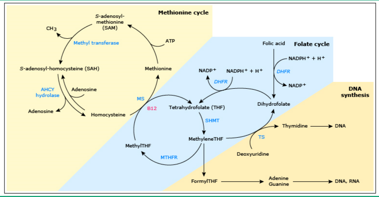 复仇女妖 推荐视频