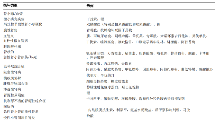 假日之旅 产品图片