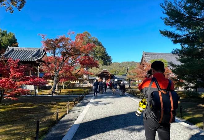 互换人生之我只是个小比嘎 推荐视频