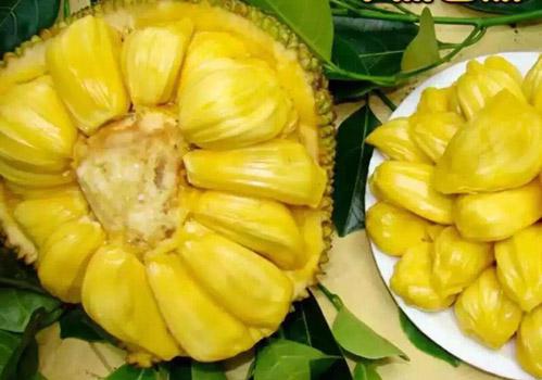 七十二家房客第十五部 推荐视频