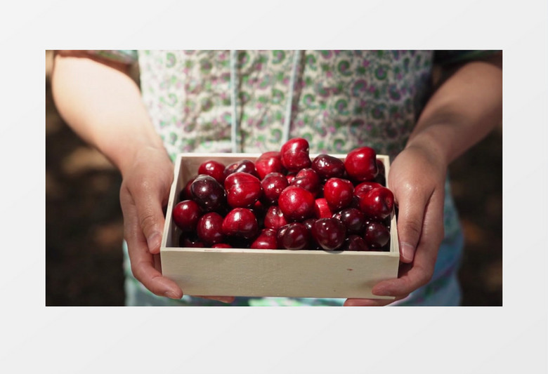 Dayı： Bir Adamın Hikayesi 2 推荐视频