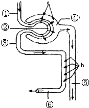 七宝奇谋 推荐视频