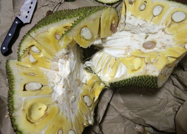 七个会议 推荐视频