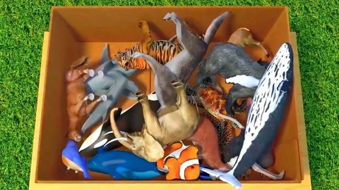 一枝光棍走天涯 视频主图